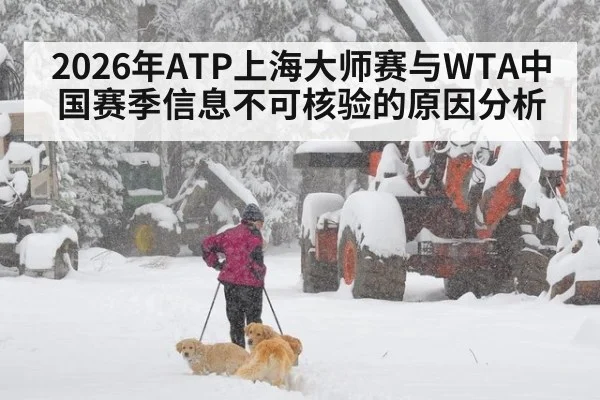2026年ATP上海大师赛与WTA中国赛季信息不可核验的原因分析