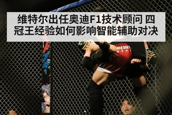维特尔出任奥迪F1技术顾问 四冠王经验如何影响智能辅助对决
